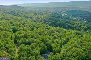 80 Sandpiper Dr, Basye, VA 22810 - Photo 41