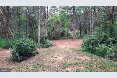 1272 Battlefield Road, Strasburg, VA 22657 - Photo 29
