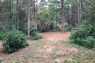 1272 Battlefield Rd, Strasburg, VA 22657 - Photo 29