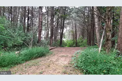 1272 Battlefield Road, Strasburg, VA 22657 - Photo 33