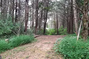 1272 Battlefield Rd, Strasburg, VA 22657 - Photo 33