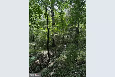 769 S Water Street, Woodstock, VA 22664 - Photo 5
