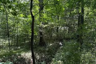 769 S Water St, Woodstock, VA 22664 - Photo 5