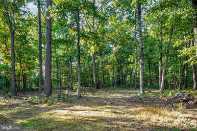 31 Willow Lane, Mount Jackson, VA 22842 - Photo 31