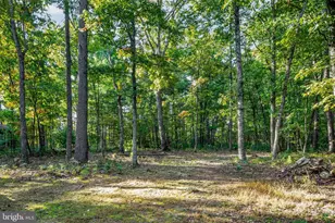 31 Willow Ln, Mount Jackson, VA 22842 - Photo 31