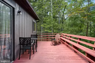 236 Judd Ln, Mount Jackson, VA 22842 - Photo 25