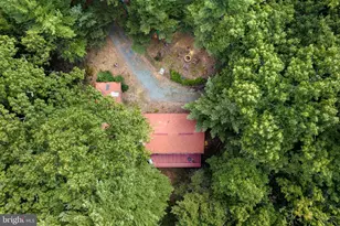 236 Judd Ln, Mount Jackson, VA 22842 - Photo 29
