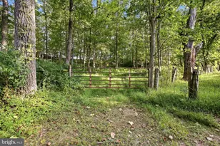 729 Swover Creek, Edinburg, VA 22824 - Photo 75