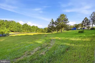 729 Swover Creek, Edinburg, VA 22824 - Photo 65