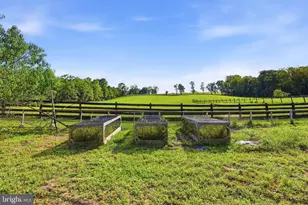 729 Swover Creek, Edinburg, VA 22824 - Photo 61