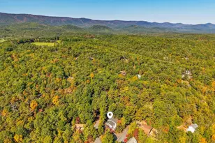 353 Killmon Rd, Basye, VA 22810 - Photo 51