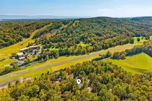 353 Killmon Rd, Basye, VA 22810 - Photo 49