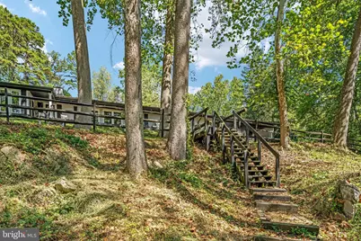 866 Old Bethel Road, Edinburg, VA 22824 - Photo 39
