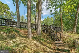 866 Old Bethel Rd, Edinburg, VA 22824 - Photo 39