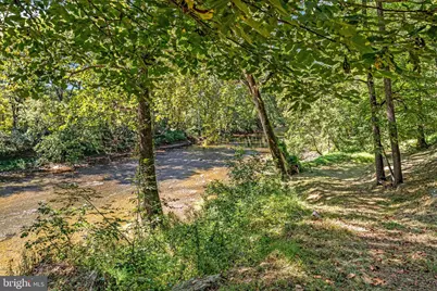 866 Old Bethel Road, Edinburg, VA 22824 - Photo 41