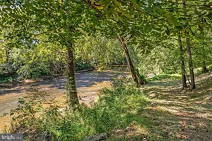 866 Old Bethel Rd, Edinburg, VA 22824 - Photo 41