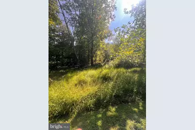 Lot 28 Cedar Lane, Woodstock, VA 22664 - Photo 3