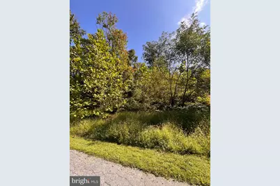 Lot 28 Cedar Lane, Woodstock, VA 22664 - Photo 5