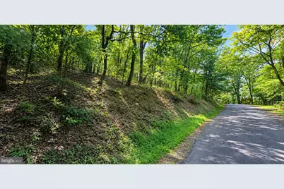 Lot 11 Fairway Drive, Basye, VA 22810 - Photo 3