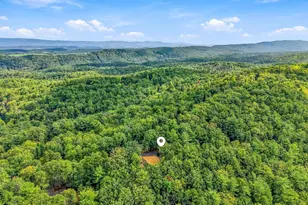 404 N Maple Rd, Mount Jackson, VA 22842 - Photo 33
