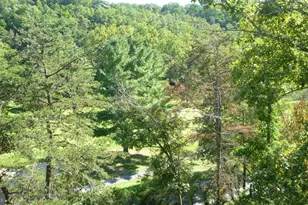 667 Nicklaus Dr, Basye, VA 22810 - Photo 9
