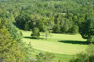 667 Nicklaus Dr, Basye, VA 22810 - Photo 7