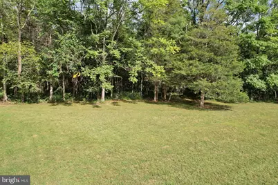338 Calamus Lane, Strasburg, VA 22657 - Photo 43
