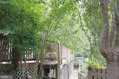 214 Rocky Mountain Lane, New Market, VA 22844 - Photo 45