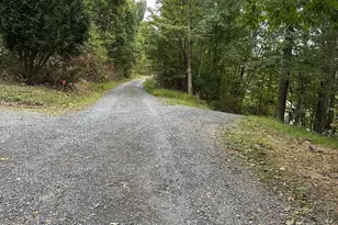 628 Kerns Mountain Ln, New Market, VA 22844 - Photo 63