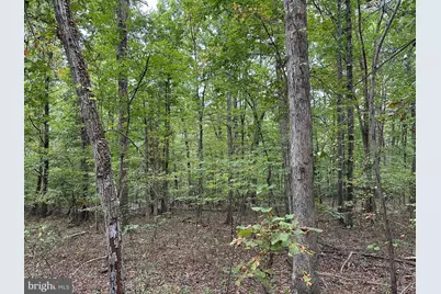 628 Kerns Mountain Lane, New Market, VA 22844 - Photo 61
