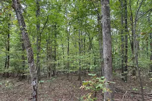 628 Kerns Mountain Ln, New Market, VA 22844 - Photo 61