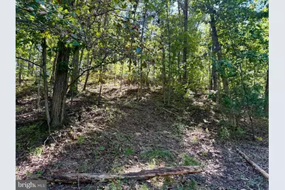 Lot 147C Tea Berry Road, Maurertown, VA 22644 - Photo 1