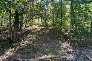 Lot 147C Tea Berry Rd, Maurertown, VA 22644 - Photo 1