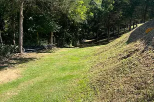 273 Roberts Rd, Toms Brook, VA 22660 - Photo 5