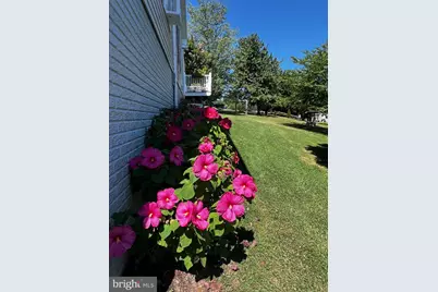 273 Roberts Road, Toms Brook, VA 22660 - Photo 9