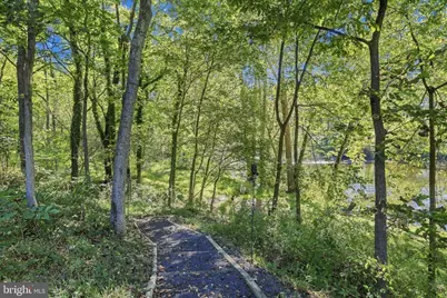 2306 Riverview Drive, Toms Brook, VA 22660 - Photo 35