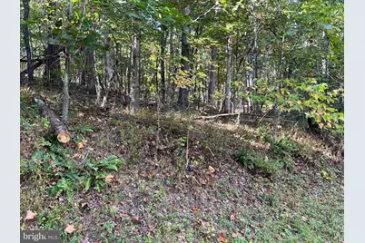 0 Hemlock Street, Mount Jackson, VA 22842 - Photo 3