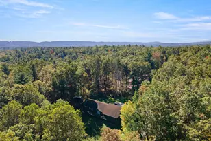 51 Sarah Ln, Basye, VA 22810 - Photo 41