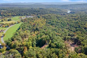 51 Sarah Ln, Basye, VA 22810 - Photo 45