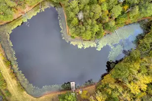 7411 Marye Rd, Spotsylvania, VA 22551 - Photo 31