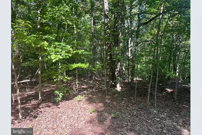 6028 Lost Cove Drive, Mineral, VA 23117 - Photo 13