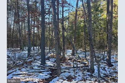 13009-13141 Lake Anna Village Drive, Spotsylvania, VA 22551 - Photo 7