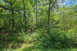 0 Mt Olive Rd, Beaverdam, VA 23015 - Photo 1