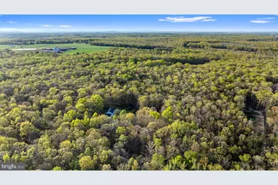 13037 Orange Plank Road, Locust Grove, VA 22508 - Photo 69