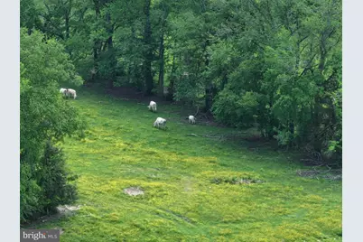 10504 Robert E Lee Drive, Spotsylvania, VA 22551 - Photo 19