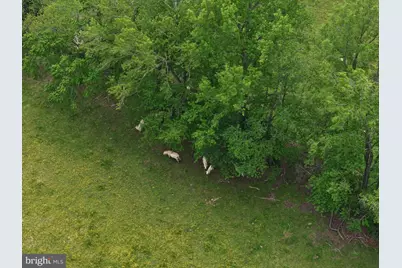 10504 Robert E Lee Drive, Spotsylvania, VA 22551 - Photo 21