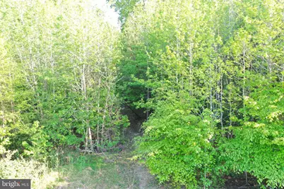 Lot 3 Deer Mountain Road, Fredericksburg, VA 22407 - Photo 15