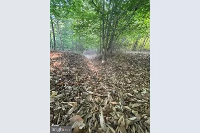 Lot 3 Deer Mountain Road, Fredericksburg, VA 22407 - Photo 7