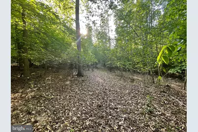 Lot 3 Deer Mountain Road, Fredericksburg, VA 22407 - Photo 19