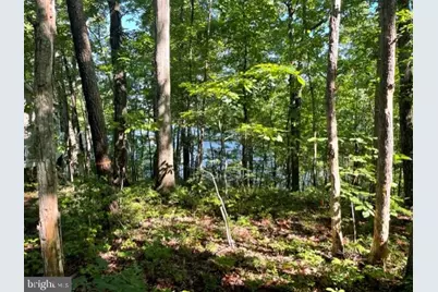 12511 Hawkins Lane, Spotsylvania, VA 22551 - Photo 5